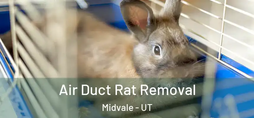 Air Duct Rat Removal Midvale - UT