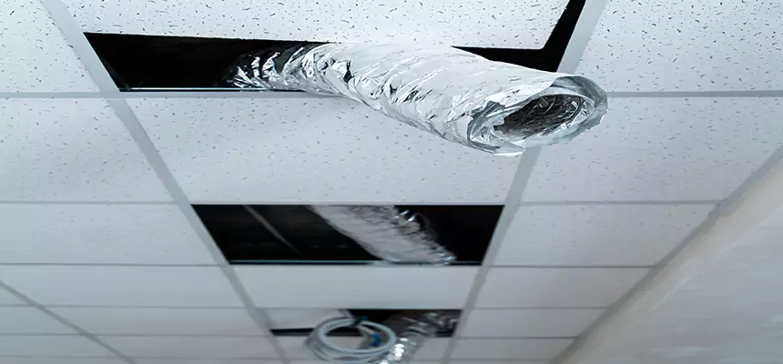 Affordable HVAC Sanitizing After Pest Removal in Midvale