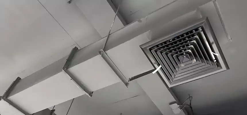 Our Rodent Droppings In Vents Services in Midvale, UT