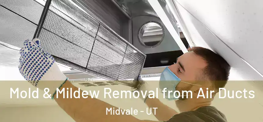  Mold & Mildew Removal from Air Ducts Midvale - UT