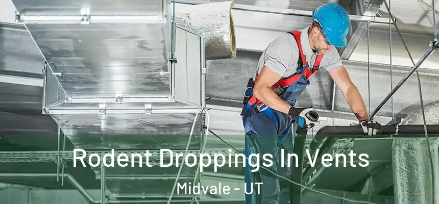  Rodent Droppings In Vents Midvale - UT
