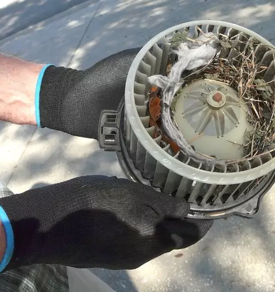 About Air Duct Mice Removal in Midvale, UT