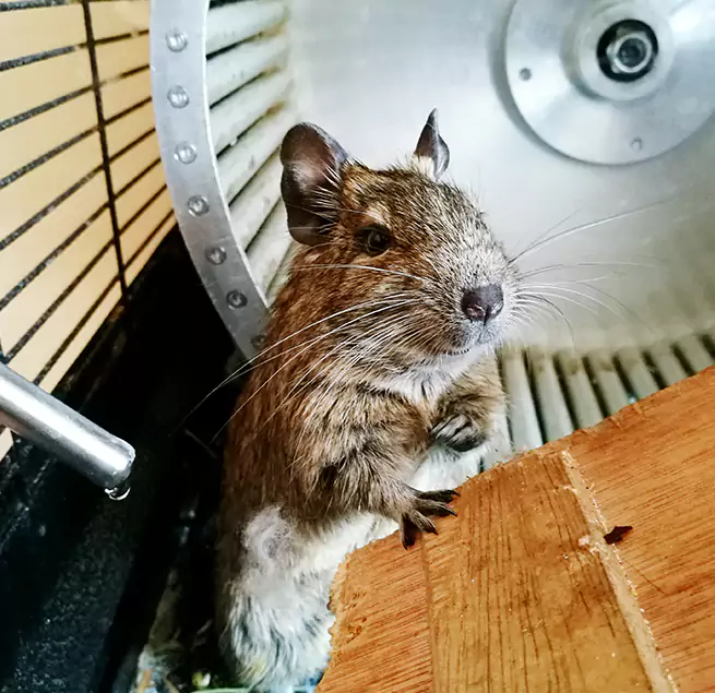 Why Homeowners & Businesses Trust Us Midvale, UT